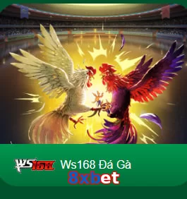 8xbet